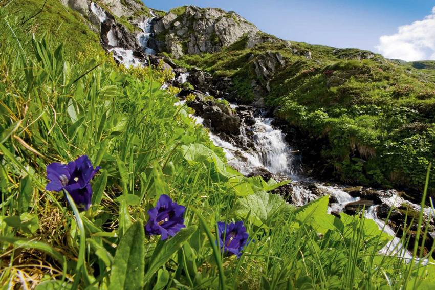 Andermatt, Starke Momente